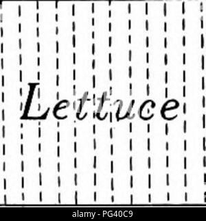 . Gärten und ihre Bedeutung, von Dora Williams. Schule Gärten. Der junge Landwirt Almanach 189 März 2 g, sgoj. In dieser Nacht waren einige Kinder nach der Schule zu trans-Anlage die Tomate. Die Töpfe wurden mit Lehm gefüllt. Es gab nur eine Tomate in jedem Topf, weil die Töpfe sind klein und die Pflanzen groß wachsen. Wir hatten 71 Töpfe in allen und fünfzig - vier Tomaten. Wir haben 17 leere Töpfe. Ma?t/i Ji, IQOJ. Wir beendeten unseren kalten Rahmen. In der morn - ing einige der jungen Samen in sie gepflanzt. Die Samen wurden von Kopfsalat und Radieschen. Den Kopfsalat Samen ist lang, schmal und schwarz. Die radieschen ist ROUN Stockfoto