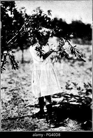 Dora Williams spricht in „Gardens und ihre Bedeutung“ über die Rolle von Schulgärten im Bildungswesen und betont ihre Fähigkeit, das akademische Umfeld mit der Außenwelt zu verbinden. Das Buch erforscht, wie Gärten als Brücke zwischen Unterricht und Erfahrung in der realen Welt dienen, was sowohl den Schülern als auch der Gemeinschaft zugute kommt. Stockfoto