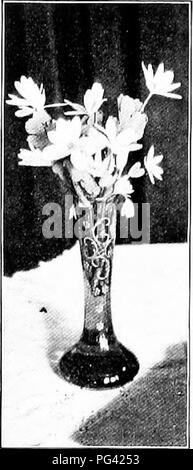 . Die Natur Studieren und Leben. Die Natur studieren. Kapitel VII ELEMENTARE BOTANIK, Blumen Kalender, Blumen am Wegesrand, giftige Pflanzen, Unkraut lilumc Sterben, sterben dein Auge heiite sielit, Hut vor Aeonen geblulit sclion in Gottes Geist. (Kacheln Blume dein Auge siehst, Hatli in (iod Geist l: Ewig loonied).) EIN ( ; r. LLis SjLr; sius, i') 5. Blumen sind Gedanken des Geistes der (iod, 'Ich' erben Liebe ist Liebe Seiner Gnade, Tlieir fragiance ist l) reath der Göttlichkeit, Ihre Schönheit, das Licht seines Angesichts. Lassen Sie lis zunächst ein paar einfache Sprache lehren, um herauszufinden, was die Kinder kennen und denken Sie an die Stockfoto