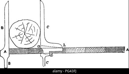 . Vorbereitung der Wald arbeiten - Pläne in Indien. Die Wälder und die Forstwirtschaft. 48 gemessen, den Arm nimmt eine Position im rechten Winkel auf die Skala, die es berührt an den Kanten (C) und (b). Statt in der gewöhnlichen Weise graduierte, die Regel (A A), Bremssättel, die von Analphabeten Arbeiter verwendet werden soll, kann mit Vorteil, in unterschiedlichen Farben auf der Inter lackiert werden - Vals gleich der Unterschiede zwischen Durchmesser oder Umfang Klassen, so dass jede Farbe zu einer Klasse entspricht. Es wurde auch festgestellt, eine kluge Vorsorge zu den Bäumen zu befestigen gemessene Papier Etiketten der gleichen Farben. Damit snpposin^ Th Stockfoto
