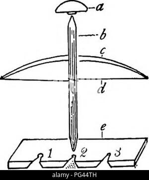 . Die Naturgeschichte der Farm; ein Leitfaden für die praktischen Studium der Quellen unserer Leben in der wilden Natur. Natural History. Geschichte der Farm. und Timing das Verschwinden zunächst Flamme, und dann rot leuchten. 3. Die BTU-ning Qualität der gleichen Art von Holz in verschiedenen Bedingungen, Grün und Tot, Splint- und Kernholz; totes Holz nass und trocken, Sound und Punk; Stücke von Knoten und von Geradfaserig por- gen, etc., kann Absatz getestet werden I.4. Alte Methoden zum Starten einer als m Abb. 47. Reiben sticks Â £ oder Feuer machen: a, Drill-Sockel, der Druck mit der linken Hand angewendet wird ( Stockfoto