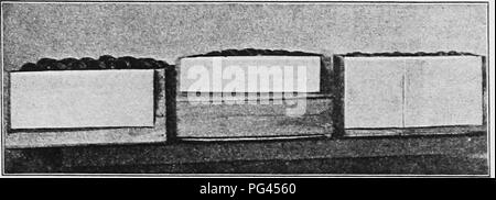 . Moderne Obst Marketing: Eine vollständige Abhandlung über Ernte, Verpackung, Lagerung, Transport und Verkauf von Obst. Obst Handel. Obst - VERPACKEN. Bitte beachten Sie, dass diese Bilder sind von der gescannten Seite Bilder, die digital für die Lesbarkeit verbessert haben mögen - Färbung und Aussehen dieser Abbildungen können nicht perfekt dem Original ähneln. extrahiert. Braun, Glückseligkeit, S., 1880 -. New York: Orange Judd Unternehmen Stockfoto