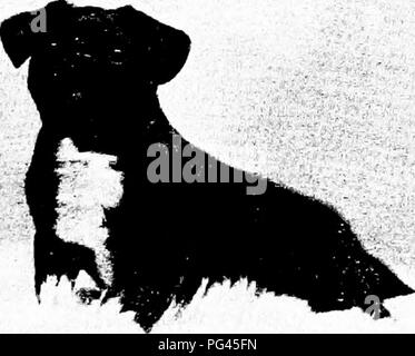 . Der Hund Buch: eine populäre Geschichte des Hundes, mit praktischen Informationen über die Pflege und Verwaltung von Haus, Zwinger, und Ausstellung Hunde, und Beschreibungen aller wichtigen Rassen. Hunde. PJwiograph von J. A. Rodger, Broiighiy Fähre GESETZE DELITA Eigentum von Miss Neish, die Gesetze, Dundee r. Pekinesen PUG KREUGER Eigentum von Frau E. B. Guyer, Philadelphia importiert von Pekin. Bitte beachten Sie, dass diese Bilder sind von der gescannten Seite Bilder, die digital für die Lesbarkeit verbessert haben mögen - Färbung und Aussehen dieser Abbildungen können nicht perfekt dem Original ähneln. extrahiert. Stockfoto