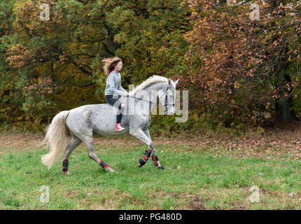Teenager (14 Jahre) Mädchen mit tschechischen Warmblut Pferd im Herbst Stockfoto