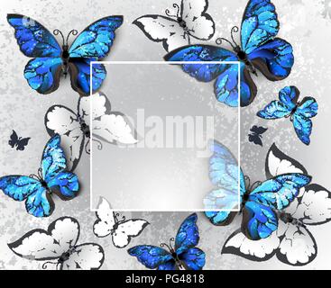 Square Banner auf grauem Hintergrund mit volumetrischen, realistisch blaue und weiße Schmetterlinge. Stock Vektor