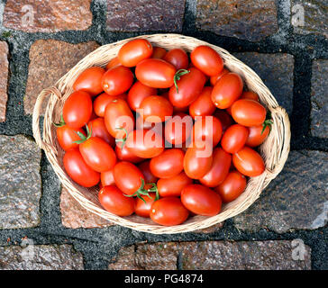 Pflaumentomate, Pflaumen-Buschtomate, Ravello, Tomate, Lycopersicon esculentum, Stockfoto