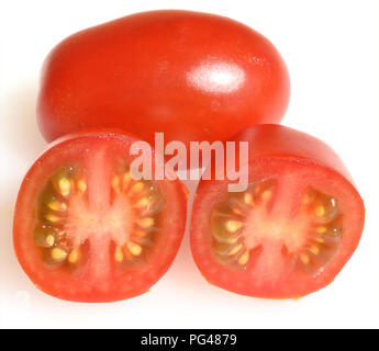 Pflaumentomate, Pflaumen-Buschtomate, Ravello, Tomate, Lycopersicon esculentum, Stockfoto