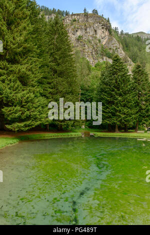 Klare Wasser des Gover Mountain Lake, unter Tannen unter steilen Klippen, Schuß an einem hellen Sommertag in Gressoney Saint Jean, Lys Valley, Aosta, Italien Stockfoto