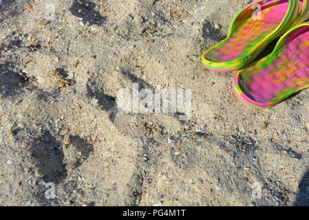 Pinkfarbene Damenpantoffeln mit grünen und gelben Scheidungen auf gelbem Sand mit flachem Muschelstrand am Schwarzen Meer am Nachmittag Stockfoto