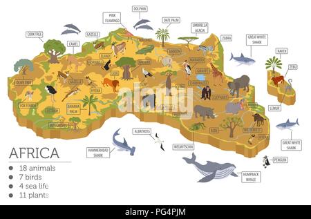 Wohnung 3 d isometrische Afrika Flora und Fauna Karte Konstruktor Elemente. Tiere, Vögel und Sea Life auf Weiß große isoliert. Erstellen Sie Ihre eigenen Geographie inf Stock Vektor