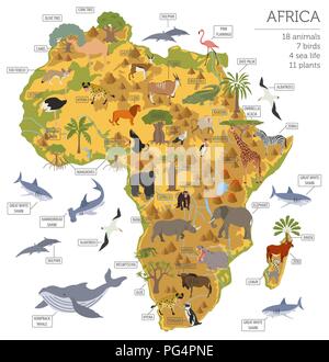 Flache Afrika Flora und Fauna Karte Konstruktor Elemente. Tiere, Vögel und Sea Life auf Weiß große isoliert. Erstellen Sie Ihre eigenen Geographie Infografiken col Stock Vektor