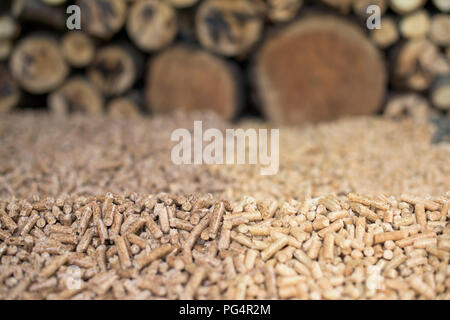 Stapel von Eiche und Kiefer pellets vor Stapel Holz Stockfoto