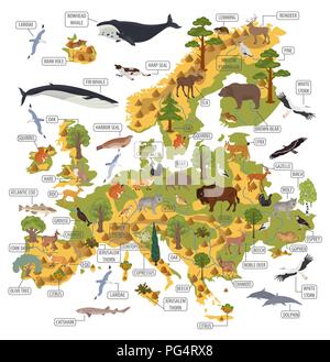 Flache europäischen Flora und Fauna Karte Konstruktor Elemente. Tiere, Vögel und Sea Life auf Weiß große isoliert. Erstellen Sie Ihre eigenen Geographie Infografiken c Stock Vektor