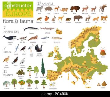 Flache europäischen Flora und Fauna Karte Konstruktor Elemente. Tiere, Vögel und Sea Life auf Weiß große isoliert. Erstellen Sie Ihre eigenen Geographie Infografiken c Stock Vektor