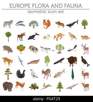 Isometrische 3d-europäischen Flora und Fauna Karte Konstruktor Elemente. Tiere, Vögel und Sea Life auf Weiß große isoliert. Erstellen Sie Ihre eigenen Geographie infogr Stock Vektor