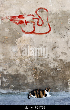 Venedig, Italien. Eine Kalico-Katze liegt im Schatten einer alten Mauer mit Graffiti Stockfoto