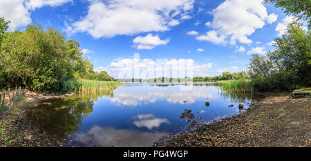 Panoramablick auf Frensham kleiner Teich, Schilf und Sky Reflexionen, in der Nähe von Farnham, einem beliebten Wander- und Erholungsgebiet Beauty Spot, im Sommer Stockfoto