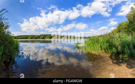 Panoramablick auf Frensham kleiner Teich, Schilf und Sky Reflexionen, in der Nähe von Farnham, einem beliebten Wander- und Erholungsgebiet Beauty Spot, im Sommer Stockfoto