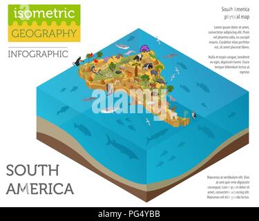 Isometrische 3d-Südamerika Flora und Fauna Karte Elemente. Tiere, Vögel und Sea Life. Ihre eigene Geographie Infografiken Sammlung aufzubauen. Vektor illustr Stock Vektor