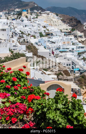 Blick auf Santorin Oia mit Blumen vorne Stockfoto