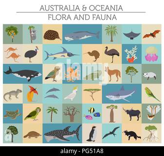 Australien und Ozeanien Flora und Fauna, flache Elemente. Tiere, Vögel und Sea Life big eingestellt. Ihre Geographie Infografiken Sammlung aufzubauen. Vektor illust Stock Vektor