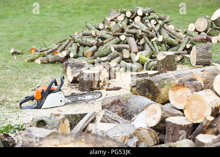 Kettensäge auf der Erde neben Stapeln von frisch geschnittenen Brennholz Stockfoto