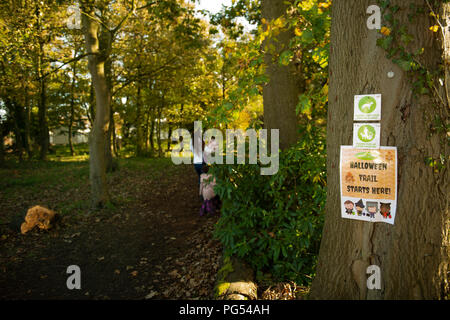 Ribby Halle Halloween Jagd. Familie Tag heraus. Stockfoto