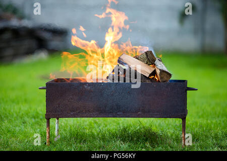 Close-up hell brennen in Metall box Protokolle Brennholz zum Grillen im Freien an einem sonnigen Sommertag. Orange Flamme verschwommen blauer Himmel und grünes Gras Stockfoto