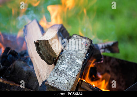 Hell brennen in Metall box Protokolle Brennholz zum Grillen im Freien an einem sonnigen Tag. Orange Flamme und weißer Rauch auf unscharfen blauer Himmel und grünes Gras b Stockfoto