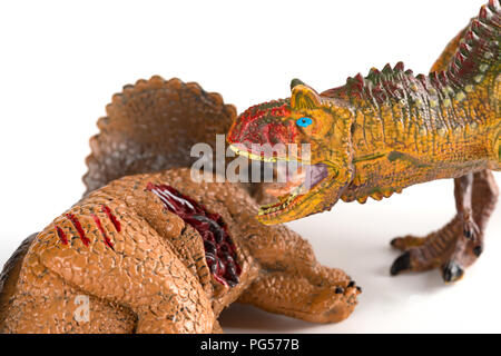 Carnotaurus mit einem triceratops Körper in der Nähe auf weißem Hintergrund Nahaufnahme Stockfoto