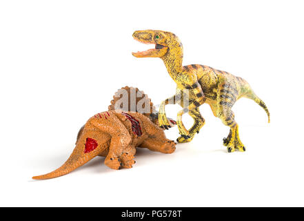 Velociraptor mit einem triceratops Körper in der Nähe auf weißem Hintergrund Stockfoto