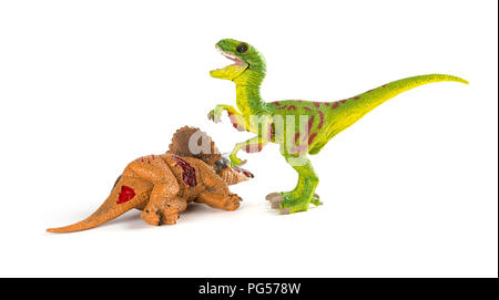 Velociraptor mit einem triceratops Körper in der Nähe auf weißem Hintergrund Stockfoto