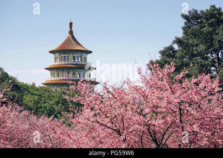 Schönheit von Taiwan Stockfoto