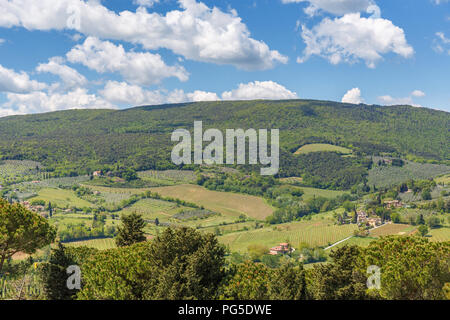 Blick auf eine italienische ländliche Kulturlandschaft Stockfoto