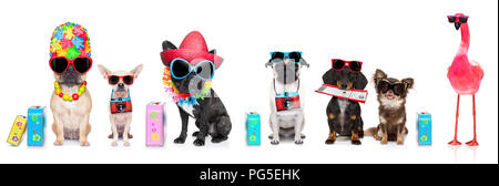 Zeile oder auf GROUP von Hunden bereit, auf Sommer Urlaub Ferien zu gehen, mit Hut, Kamera, Ticket, Beutel und Gepäck Stockfoto