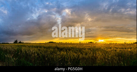 XXL-ländlichen Bereich sonnenuntergang himmel natur landschaft Stockfoto