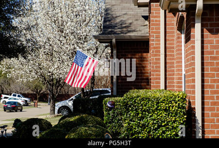 Die amerikanische Flagge auf einem ausgedehnten flag Pole außerhalb ein Haus in McKinney Texas. Bäume mit weissen Blüten im Hintergrund mit Autos, grüne Büsche vor. Stockfoto