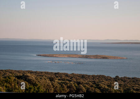 Kroatien: Blick bei Sonnenuntergang der mediterranen Macchia und einer kleinen Insel in der Nähe von Novalja, einem kleinen Dorf auf der Insel Pag in der Adria Stockfoto