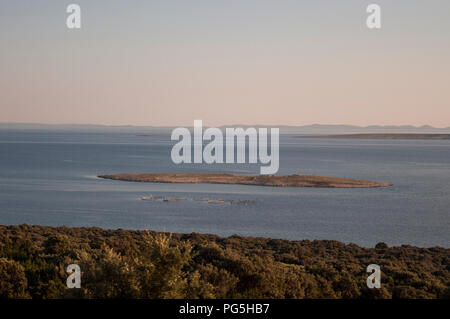 Kroatien: Blick bei Sonnenuntergang der mediterranen Macchia und einer kleinen Insel in der Nähe von Novalja, einem kleinen Dorf auf der Insel Pag in der Adria Stockfoto