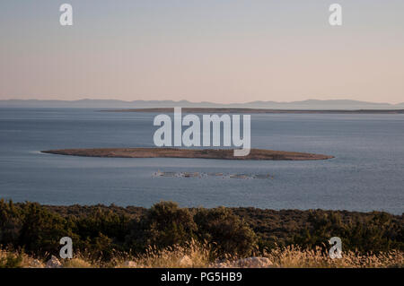 Kroatien: Blick bei Sonnenuntergang der mediterranen Macchia und einer kleinen Insel in der Nähe von Novalja, einem kleinen Dorf auf der Insel Pag in der Adria Stockfoto