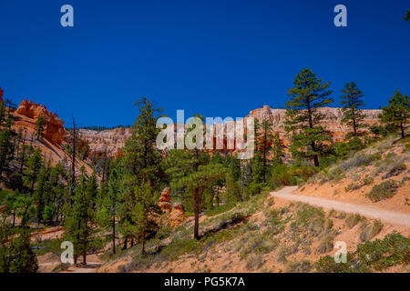 Schöne im Hinblick auf pinyon Pinienwald Bryce Canyon National Park, Utah in den USA in einem schönen blauen Himmel Hintergrund in den sonnigen Tag. Stockfoto