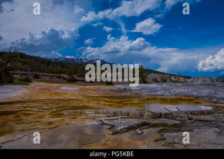 Mesa rock Muster an mamoth heißen Quellen im Yellowstone National Park, im schönen, sonnigen Tag und blauer Himmel in den USA. Stockfoto