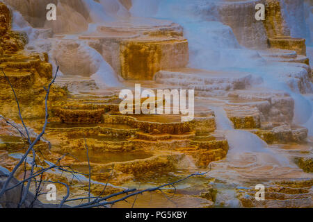 Seitwärts des Kanarischen Frühling und Terrassen in den Mammoth Hot Spring Bereich der Yellowstone Nationalpark in den USA. Stockfoto