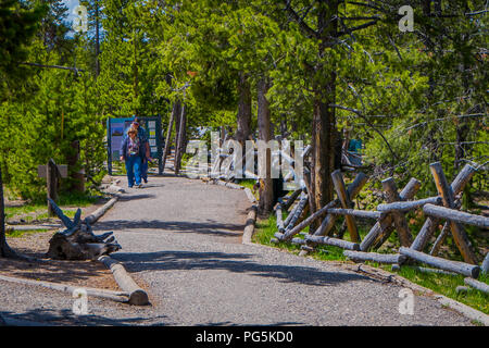 YELLOWSTONE, Montana, USA JUNI 02, 2018: unbekannte Menschen zu Fuß in einem hölzernen Pfad zu den Geysiren und Bäumen. Zurück Becken von Norris Geyser Basin. Stockfoto