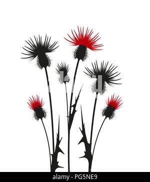 Thistle Silhouette auf weißem Hintergrund Stock Vektor