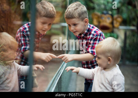 Kinder beobachten Reptilien im Terrarium durch Glas. Stockfoto