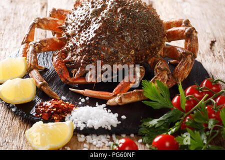 Luxuriöse Raw Seespinne durch frische Tomaten, Zitrone, Kräuter und Gewürze in der Nähe umgeben auf einem schwarzen Stein. Horizontale Stockfoto