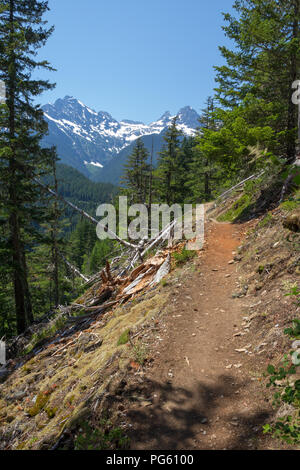 Bild vertikal auf der Suche nach Westen entlang der Skagit Gorge Trail durch den Wald in Richtung gezackten Gipfel mit Schnee und Eis Stockfoto