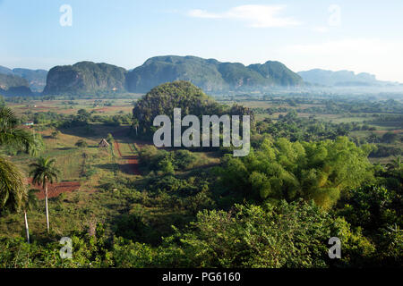 Morgennebel und üppig grüne Kalkstein Mogotes dominieren den Tabakanbau Landschaft im Tal von Vinales in westlichen Kuba Stockfoto