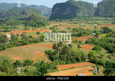 Üppig grüne Kalkstein Mogotes dominieren den Tabakanbau Landschaft im Tal von Vinales in westlichen Kuba Stockfoto